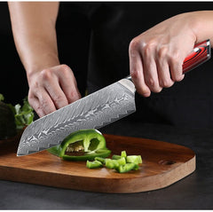 Professional Damascus Steel VG10 Core Steel 6 PCS Japanese Kitchen Knife Set Chef Knife Set - Best Buy Damascus